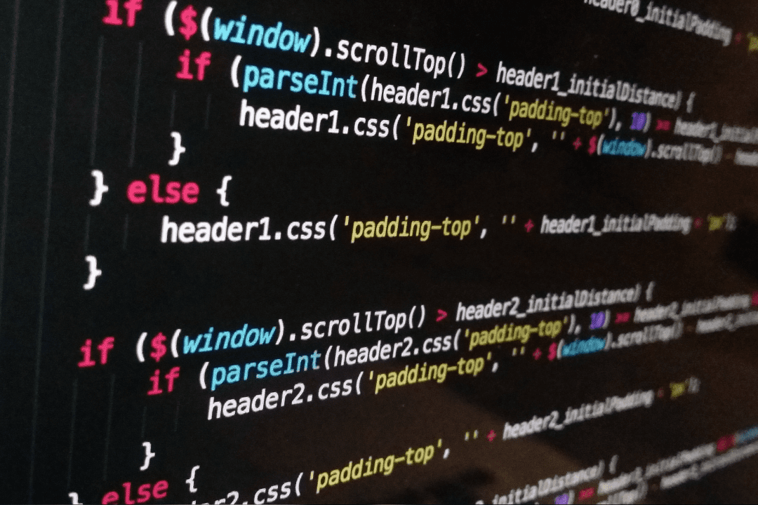 Básicos para tu web